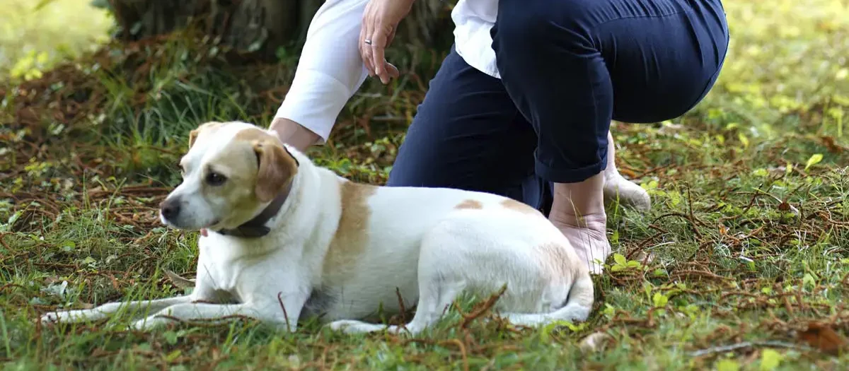 Stefanie Flunkert mit ihrem Hund im Garten vor einem Baum