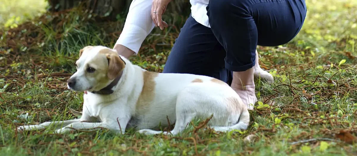 Stefanie Flunkert with her dog in the garden in front of a tree